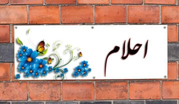 احلام پسر شیطون