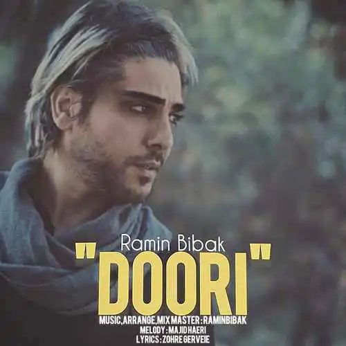 Ramin Bibak Doori img.jpg