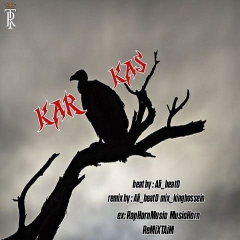 remix taim