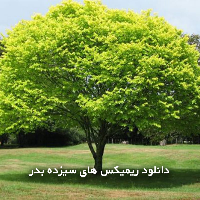 دانلود ریمیکس های سیزده بدر 1 طبیعتy