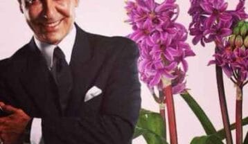 فرامرز آصف عروس