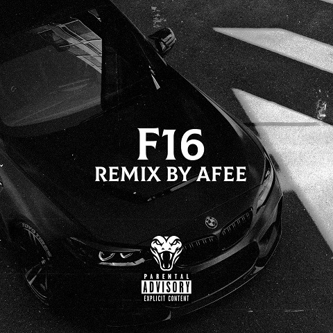 afee remix f16