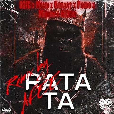 afee remix ratata
