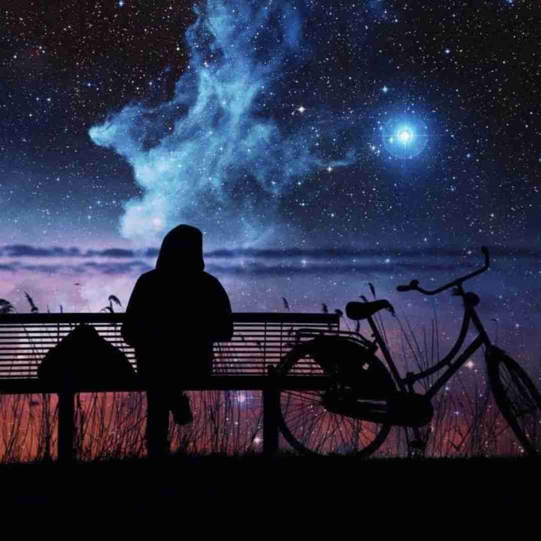 شکیلا آشفته حالی 2