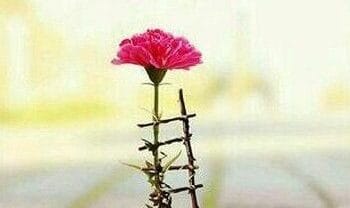 هایده اﻣﻮن از اﻳﻦ دل ﺗﻨﮓ ﺑﺎزم ﺑﺎزﻳﺶ ﮔﺮﻓﺘﻪ (هوش مصنوعی)