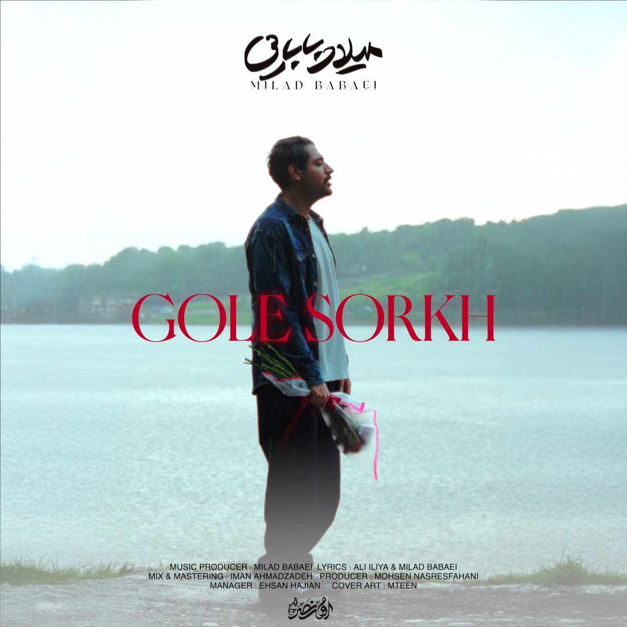 میلاد بابایی گل سرخ