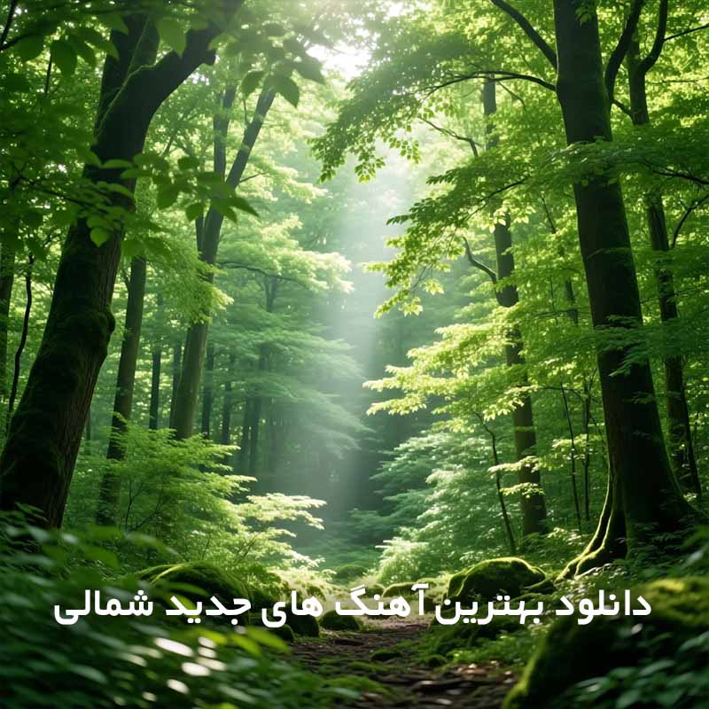 بهترین آهنگ های جدید شمالی