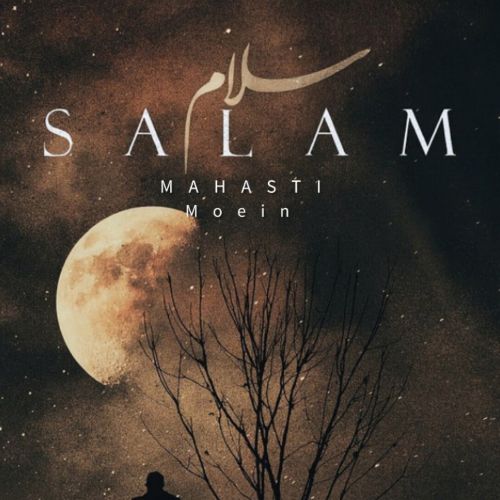 معین و مهستی سلام (هوش مصنوعی)